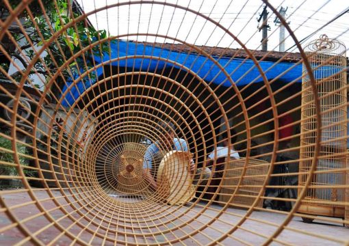 Vac Bird Cage Making Village: a Unique Traditional Destination in Hanoi