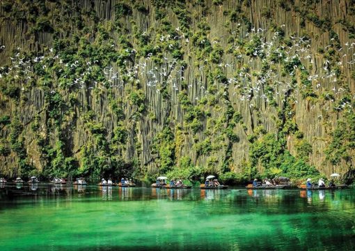 Van Long Nature Reserve – All You Need to Know