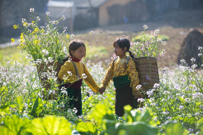 What to Do and How to Get to Muong Hoa Valley