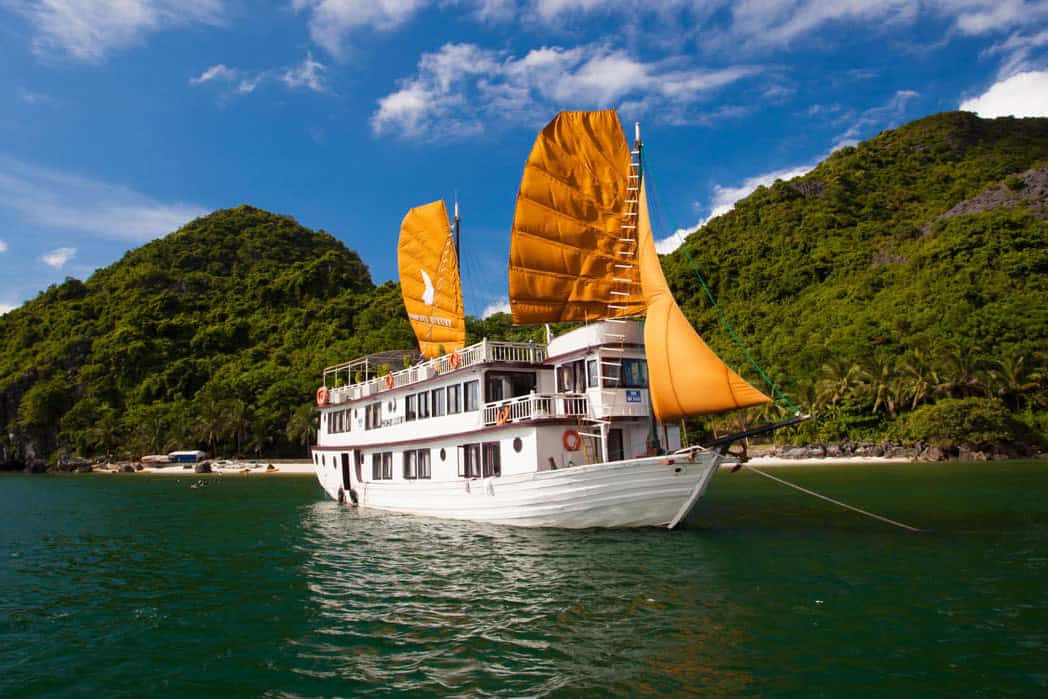 What to do in Halong Bay in February