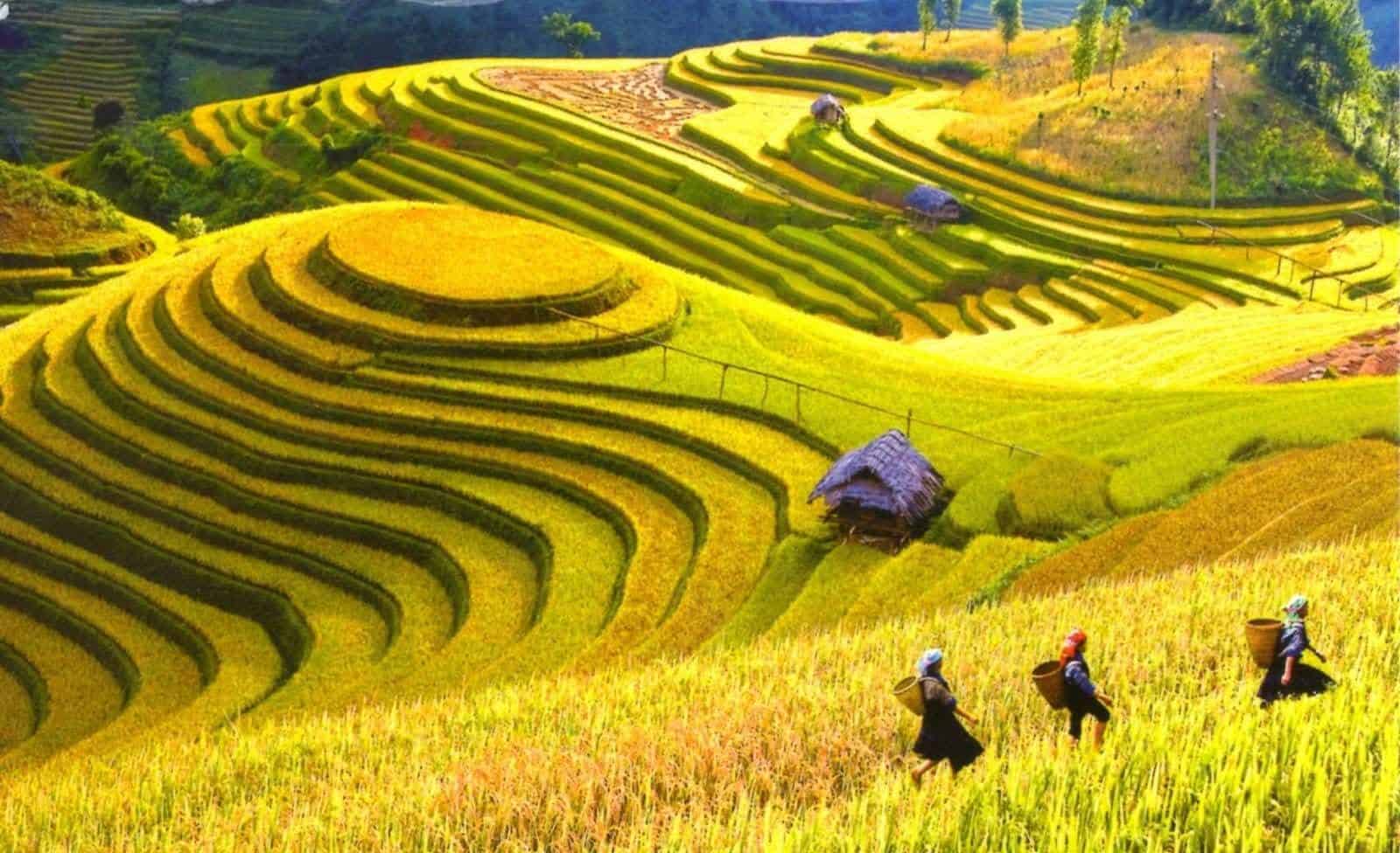 y-linh-ho-village