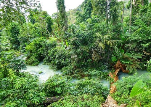 Yok Don National Park – The Vietnam’s Biggest Protected Area